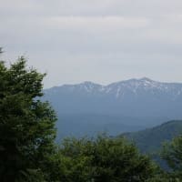花とともに花立峠・長工新道・枡形山・萱峠③　2025/06/06