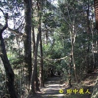 木津川市加茂町銭司・春日神社の遷宮仮宮期の勧請縄かけ