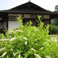 ダリ展と縮景園～
