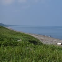 暑さにグッタリ　草刈は半分だけ　2025/06/30（鹿児島）