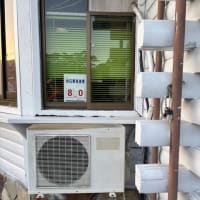 台湾QT結果ご報告
