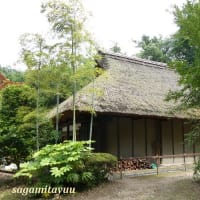 江戸時代末期の医院の住宅「旧荻野家住宅」