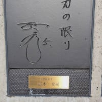 バイパスなどを11kmと民生委員の総会・・・