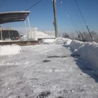 大雪と格闘・・１日５回の除雪作業・・