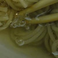 浜松町の「はっちゃんラーメン」で勉強された方が西日暮里に新店（JAPNESE光ラーメン）の登場！