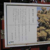 鎌倉散策