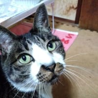  6月13日（金）まさかのワンコ愛好家さんと出会う