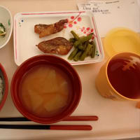 入院　１５日目