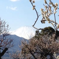 早いですねぇ、、、３月ですねぇ、、、