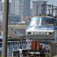 EF66‐128牽引コンテナ列車【尻手駅：南武支線】 2024.4.19
