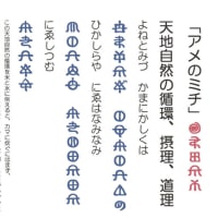 素晴らしきワカの叡智✨️
