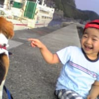 やっぱり親子だ・・・チーン。