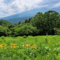 野辺山駅　JR最高地点　平沢峠　獅子岩　ニッコウキスゲ