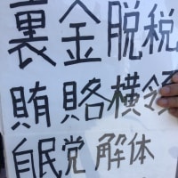 2025/06/22(日)自民党解体デモは、CIAデモでした‼️2025/06/23