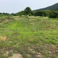草刈りの記録
