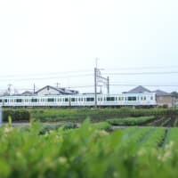 営業運転初日　西武8000系営業運転開始