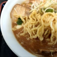 ８種野菜のポカポカ味噌ラーメン　喜多方ラーメン　坂内