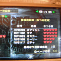 モンハン２ndＧ　総括