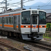 ＪＲ東海 垂井(2025.6.22) ３１１系 Ｇ１編成 普通 大垣行き 引退記念ＨＭ