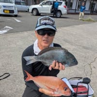 2025年6月分、パイン5号の釣果