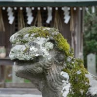 綱敷天満宮の梅まつり