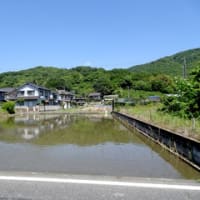 田植えの時期（広島県福山市の郊外）