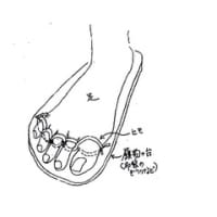 発明（２）足指草履