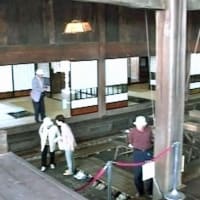 海鳥のサンクチュアリ　天売島と森林浴を楽しむメルヘンの焼尻島　７３回目　羽幌