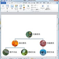 Office 2010 SmartArt -2- （新しいデザインが追加）