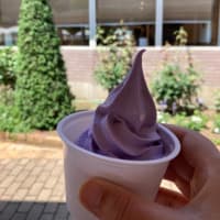 あしかがフラワーパーク
