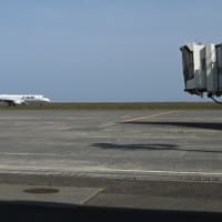 バラの山口宇部空港
