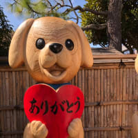 ひな祭りだね。