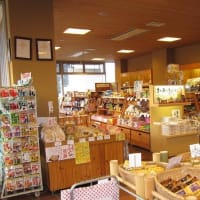 温泉の旅　道の駅「津和野温泉」あさぎりの湯　島根県