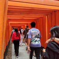 中国地方を周ってきました