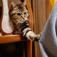 元気になりました！！！