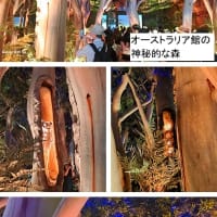 初関西万博