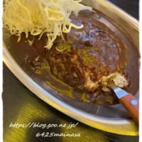 北陸旅行3日目行きたかった豆の形の本屋さん