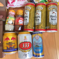 '18ベトナム 33 ホーチミンまとめとお知らせ
