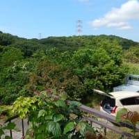 令和７年６月２日、月曜日　午後４時　曇り　24℃