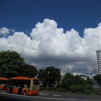 台風がくる前