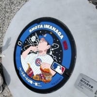 ＊　推しの今永選手　＊