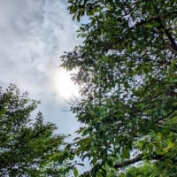 雲の隙間から太陽　１１９５２回目のブログ更新