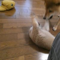 サービス向上のため　録音させていただきます事をご了承ください☆