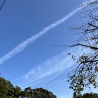 打てーっ！