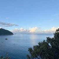 8月26日(月)【OPEN】