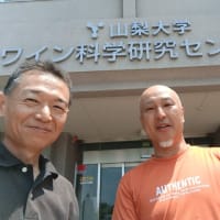 大学の中に畑があって。