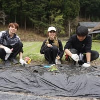 ボランティアのみなさんとの「北山友禅菊」の苗植え作業。夏を楽しみに…楽しいひととき