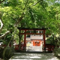 京都市・西京区・大原野神社