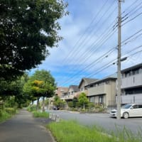 今日も雨降らず