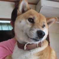 やる気が湧き出す！ノート表紙をデコったら